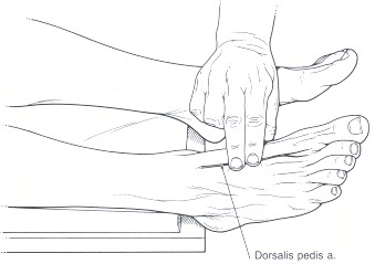 足背脉搏检测